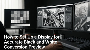 How to Set Up a Display for Accurate Black and White Conversion Preview