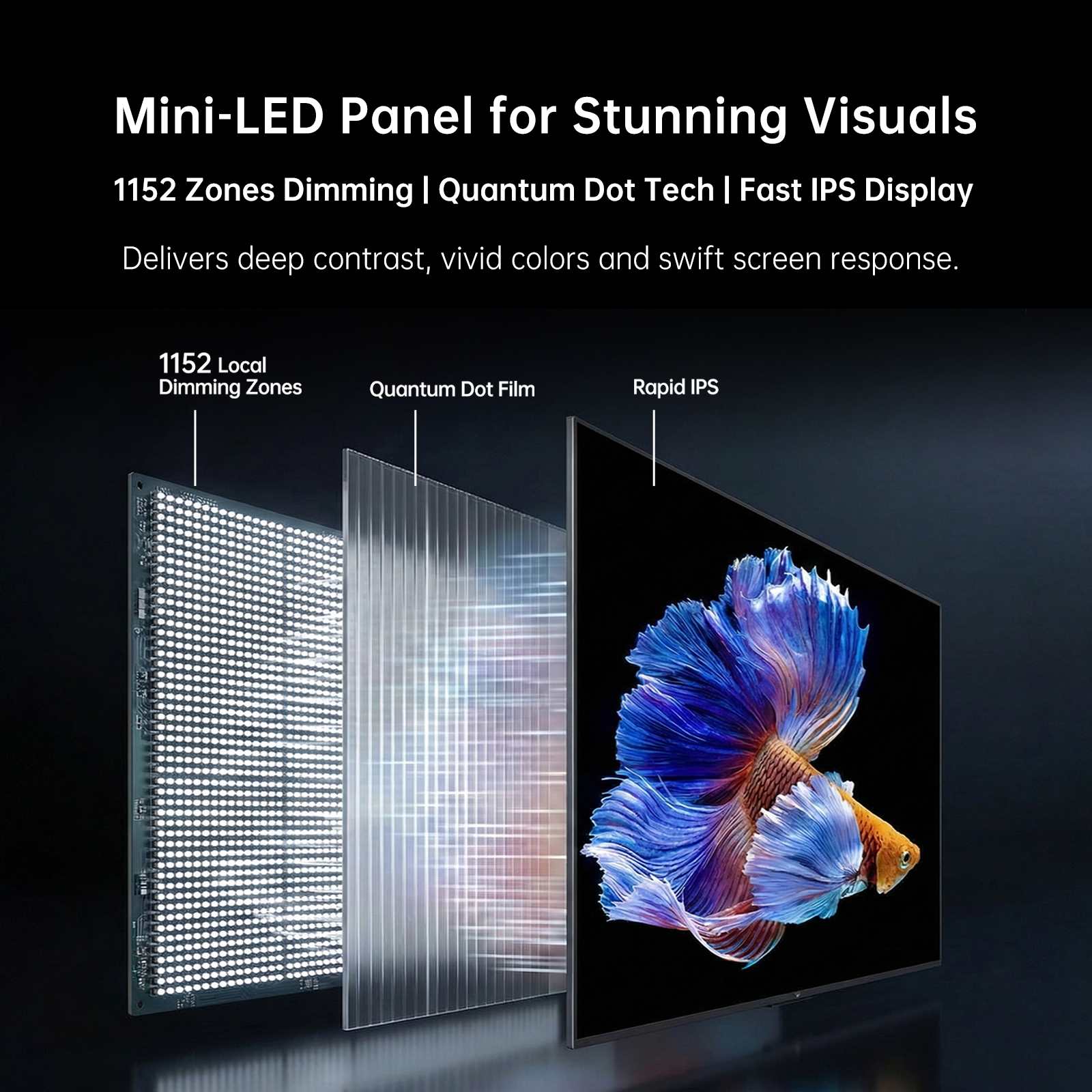 Mini-LED panel with 1152-zone local dimming, Quantum Dot film and Rapid IPS display